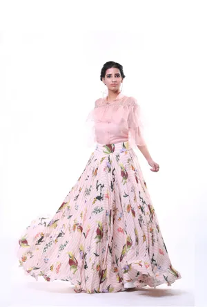 Shirt And Skirt Set