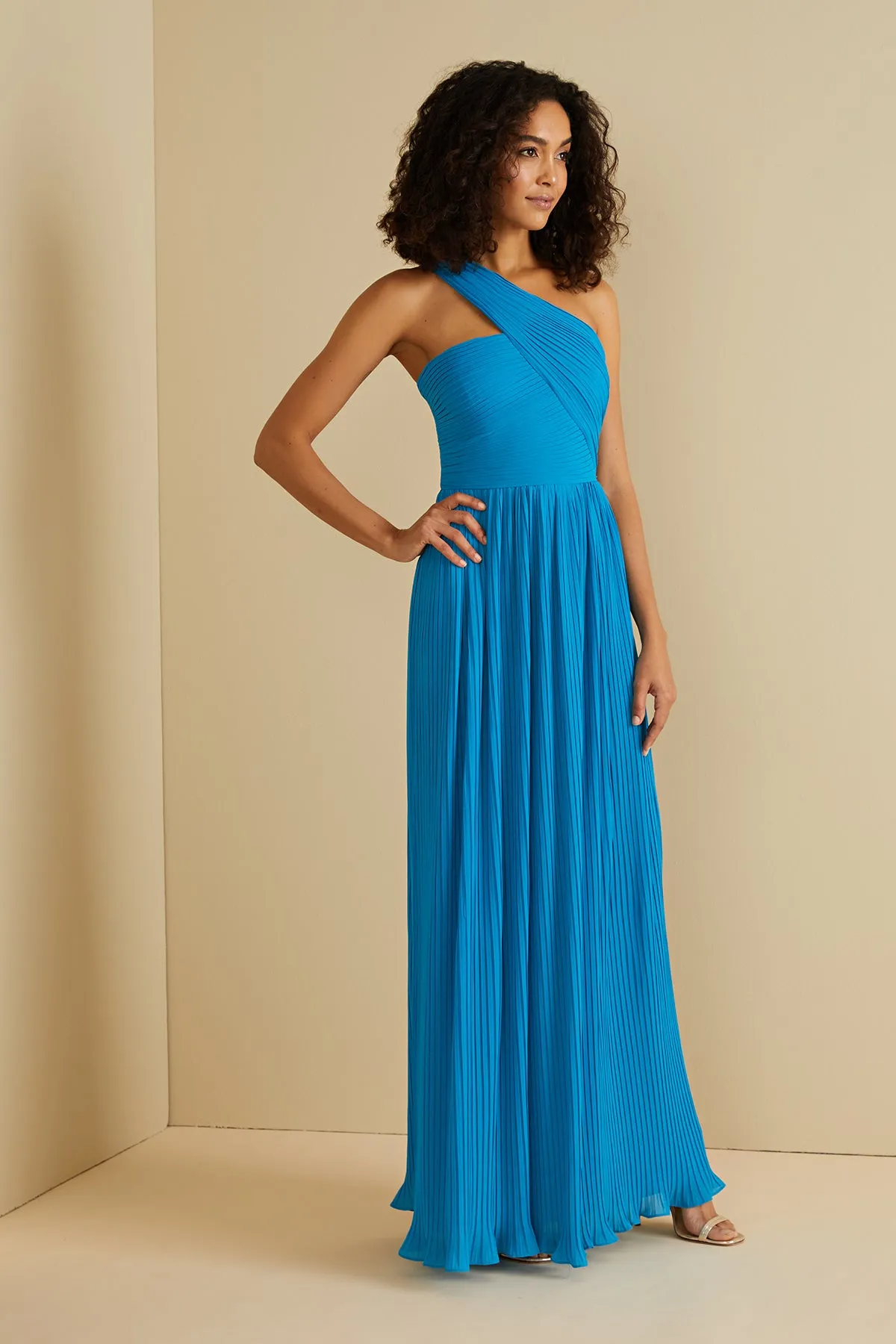 Skye Deep V Pleated Gown