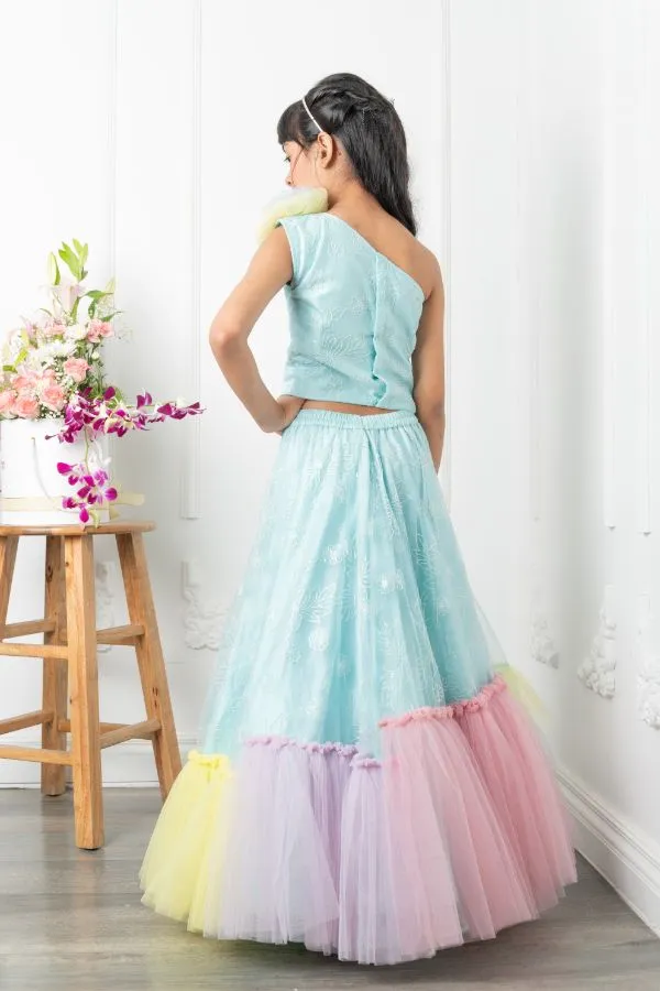 Slant Cut Crop top with heavy embroidered Lahenga